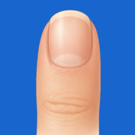 ناخن انگشت با سطح صاف و شفاف، نشاندهنده ساختار تخصصی ناخن و اهمیت آن در حفاظت و مهارت حرکتی.