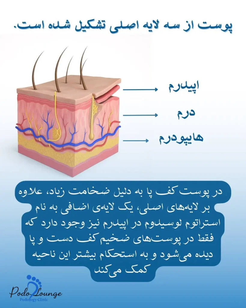 سلامت پوست پا